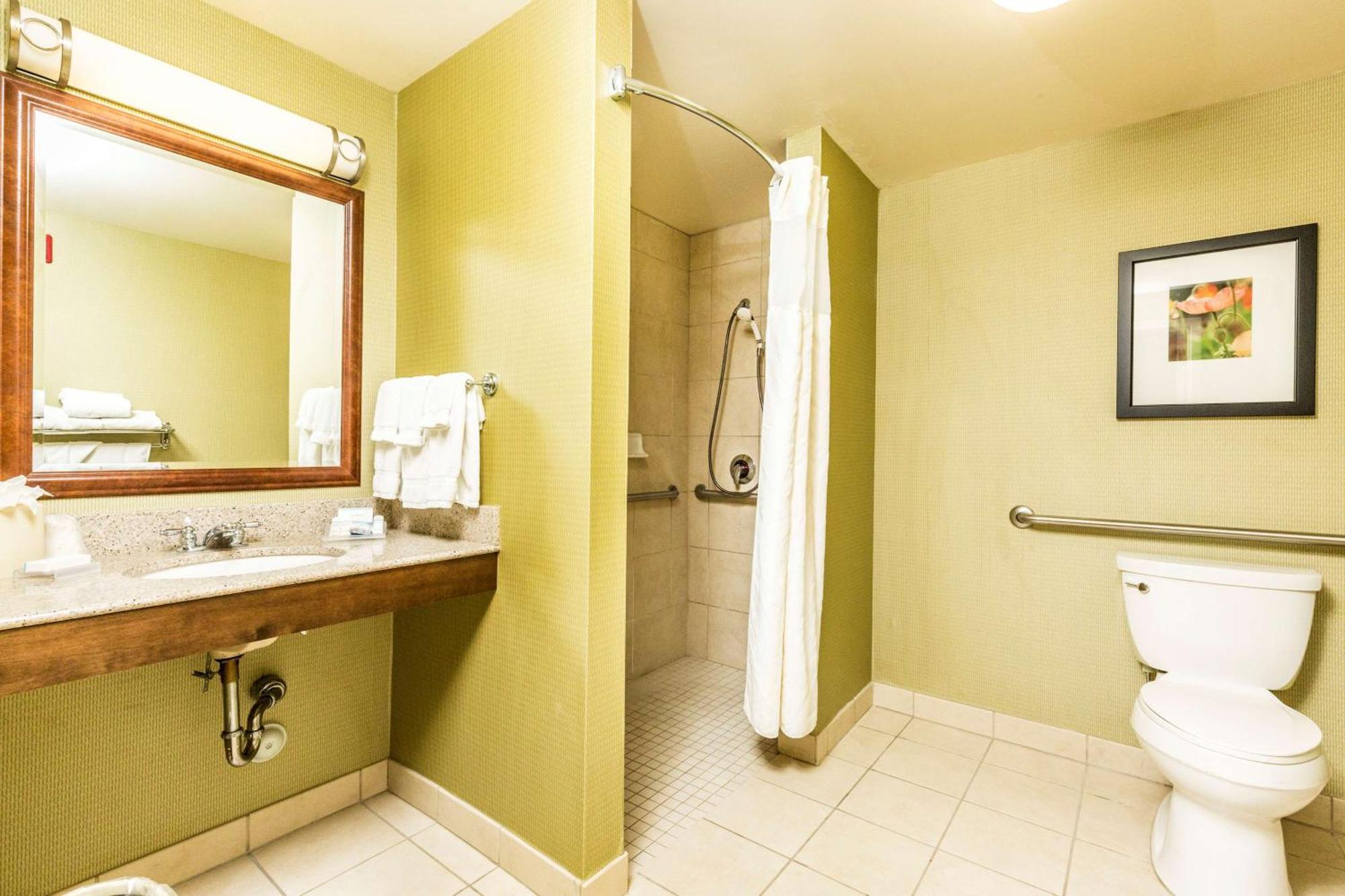 King Room Roll Shower Mobility or Hearing Accessible,1557845530:JPEG